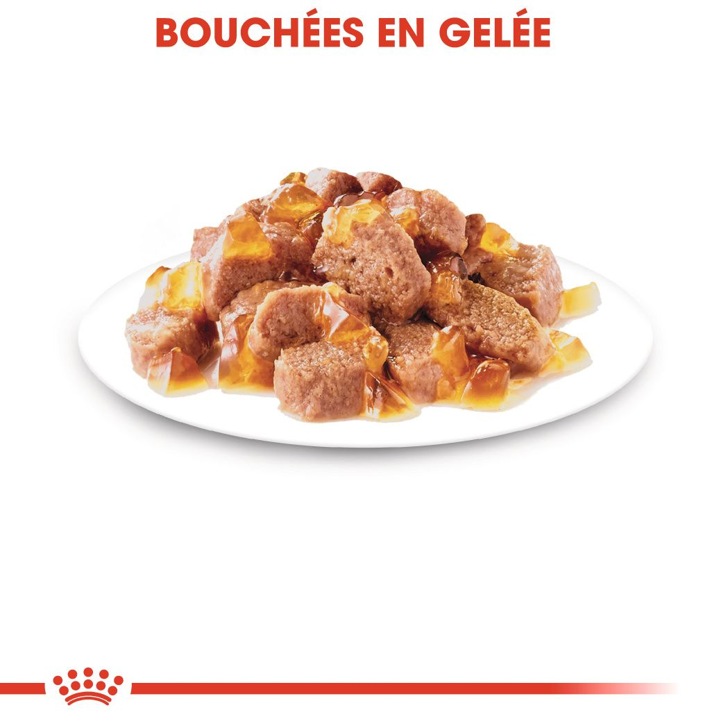 Instinctive Jelly (émincés en gelée)