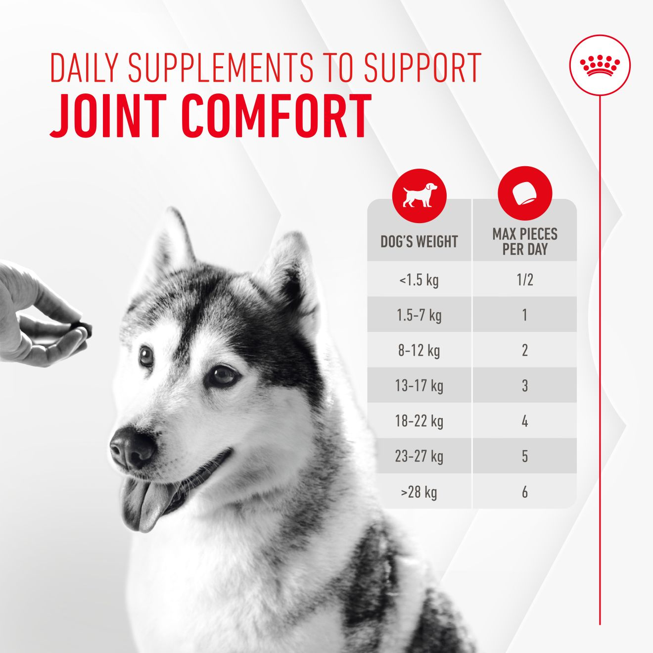 Joint & Ageing Supplement 240g