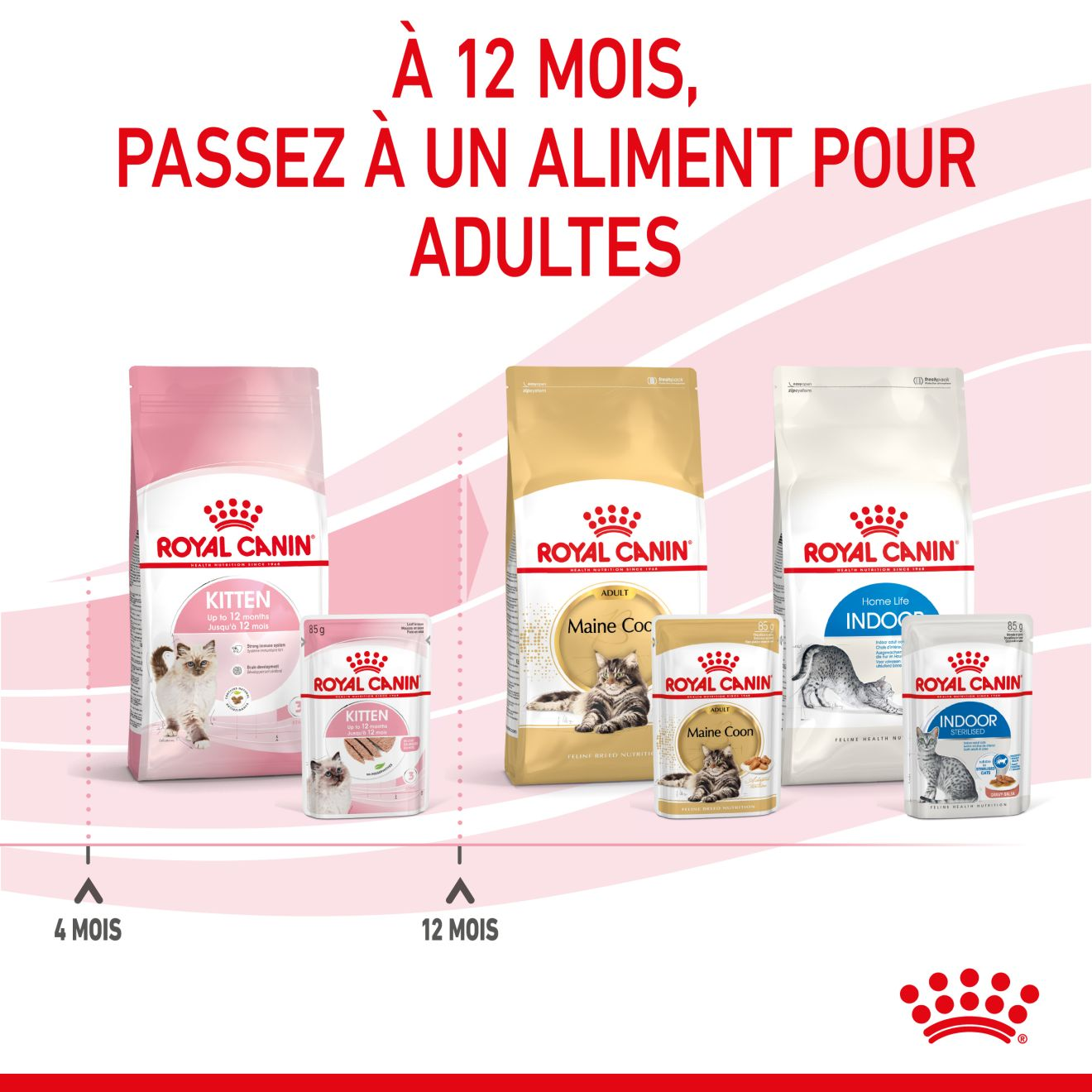 Kitten Mousse - Sachet fraîcheur pour chaton