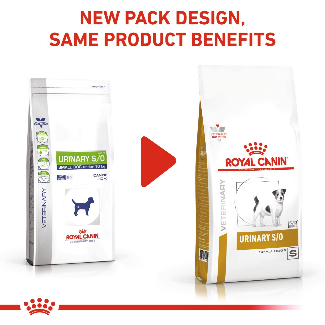 Royal Canin Urinary S/O Small Dog kuivtoit