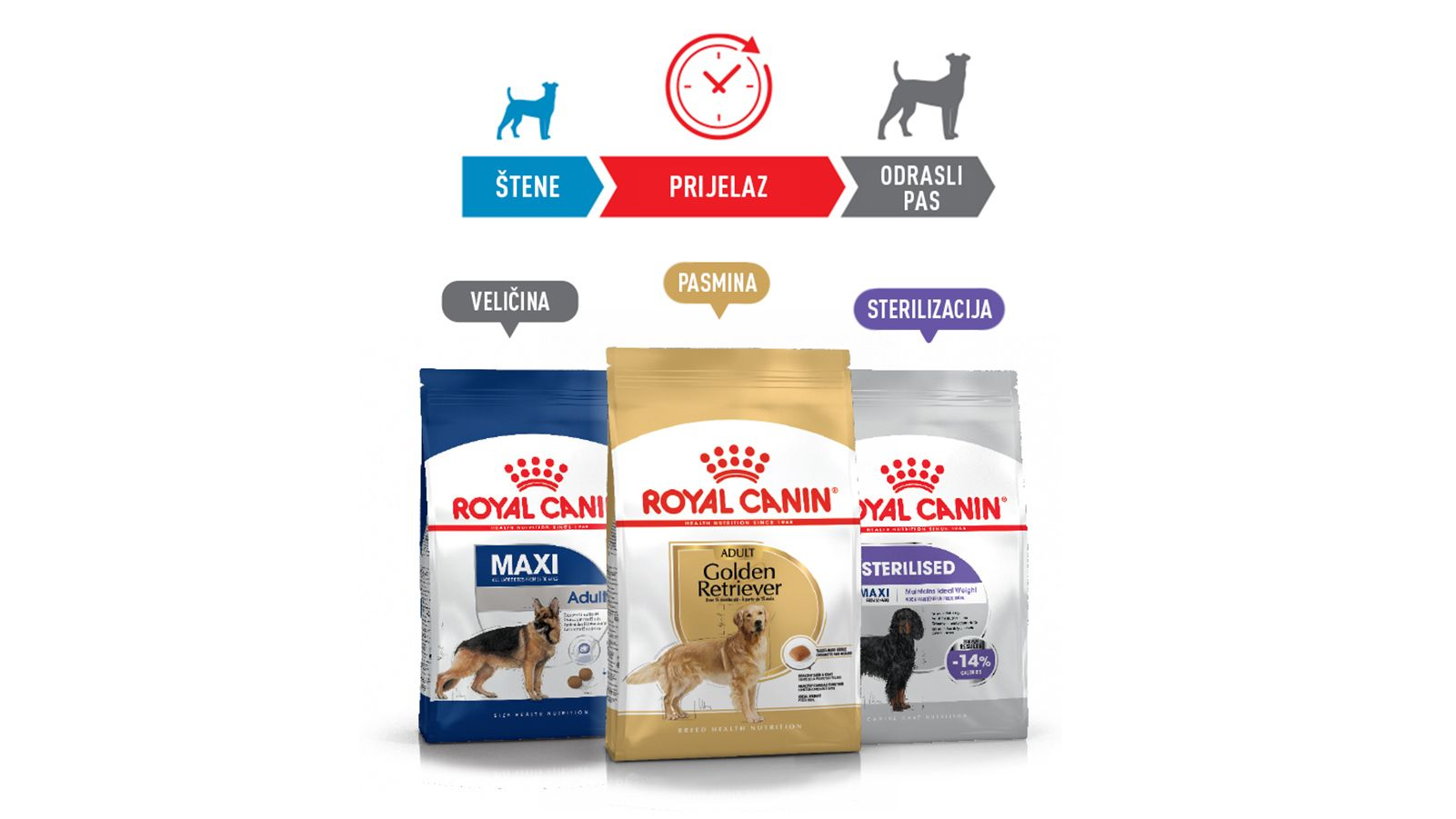 food-transition-packaging-dog