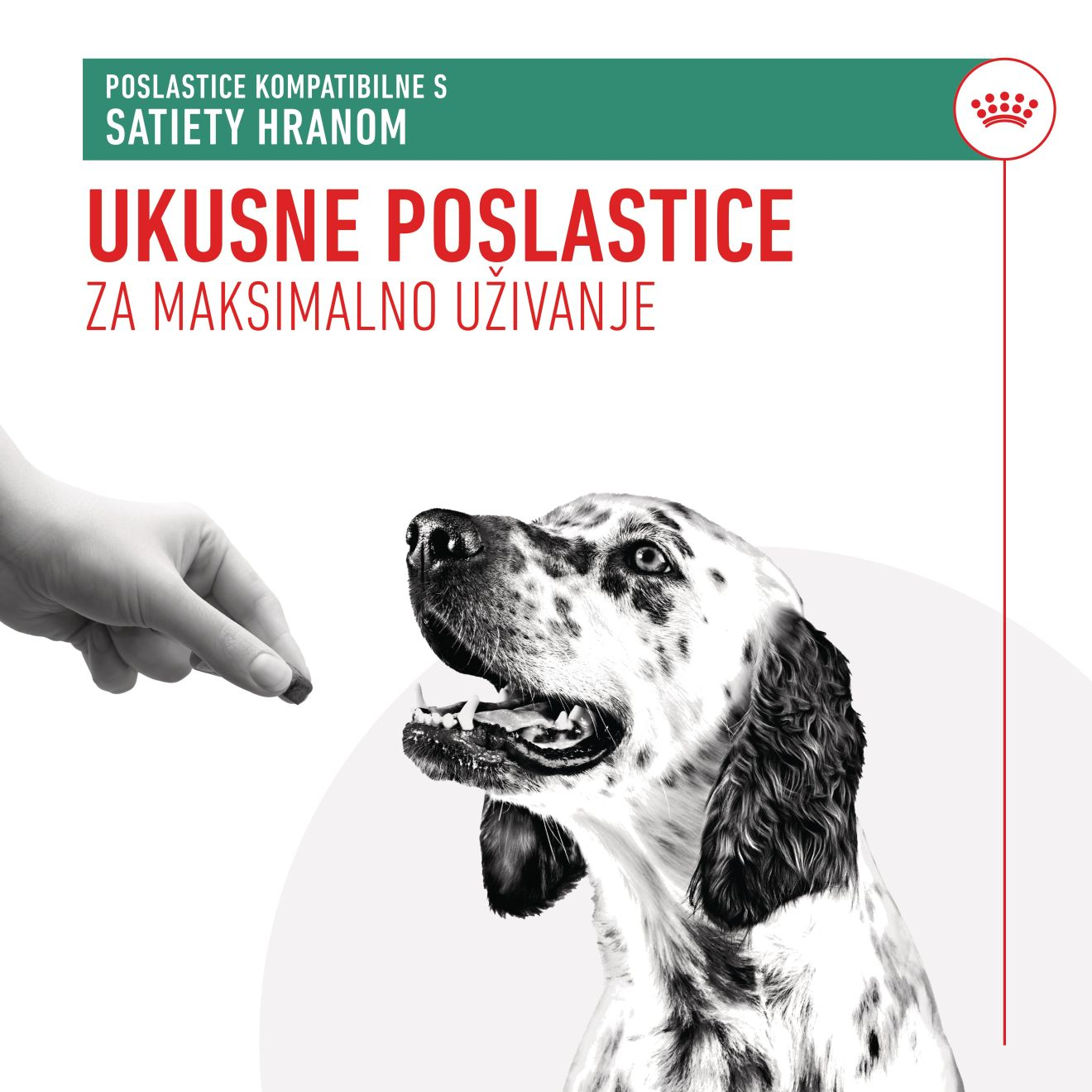 SATIETY VETERINARSKE POSLASTICE