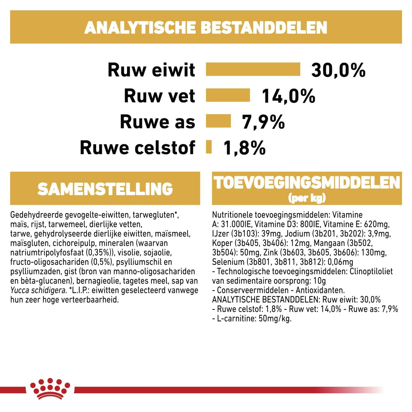 Miniature Schnauzer Puppy