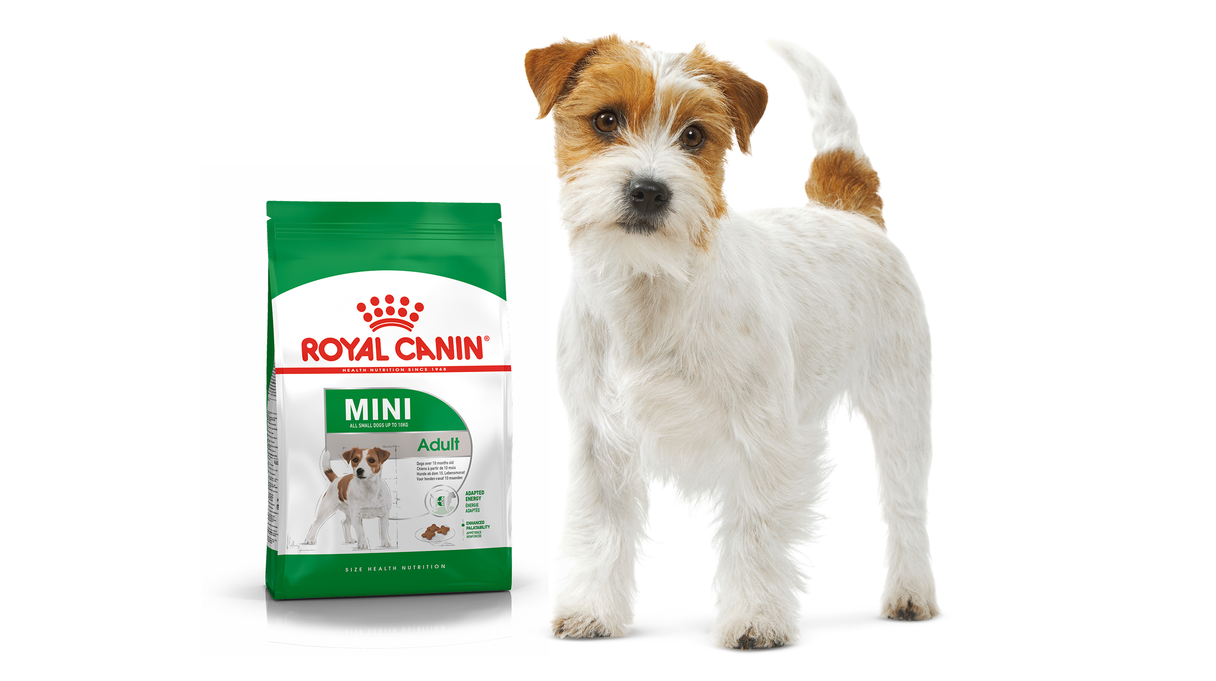 Slika prikazuje brikete iz linije hrane za majhne pse