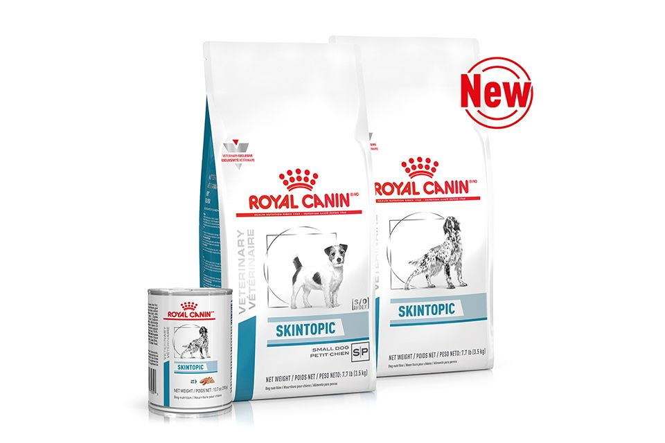 A new hassle free dietary solution for dogs with environmental sensitivities Royal Canin IN