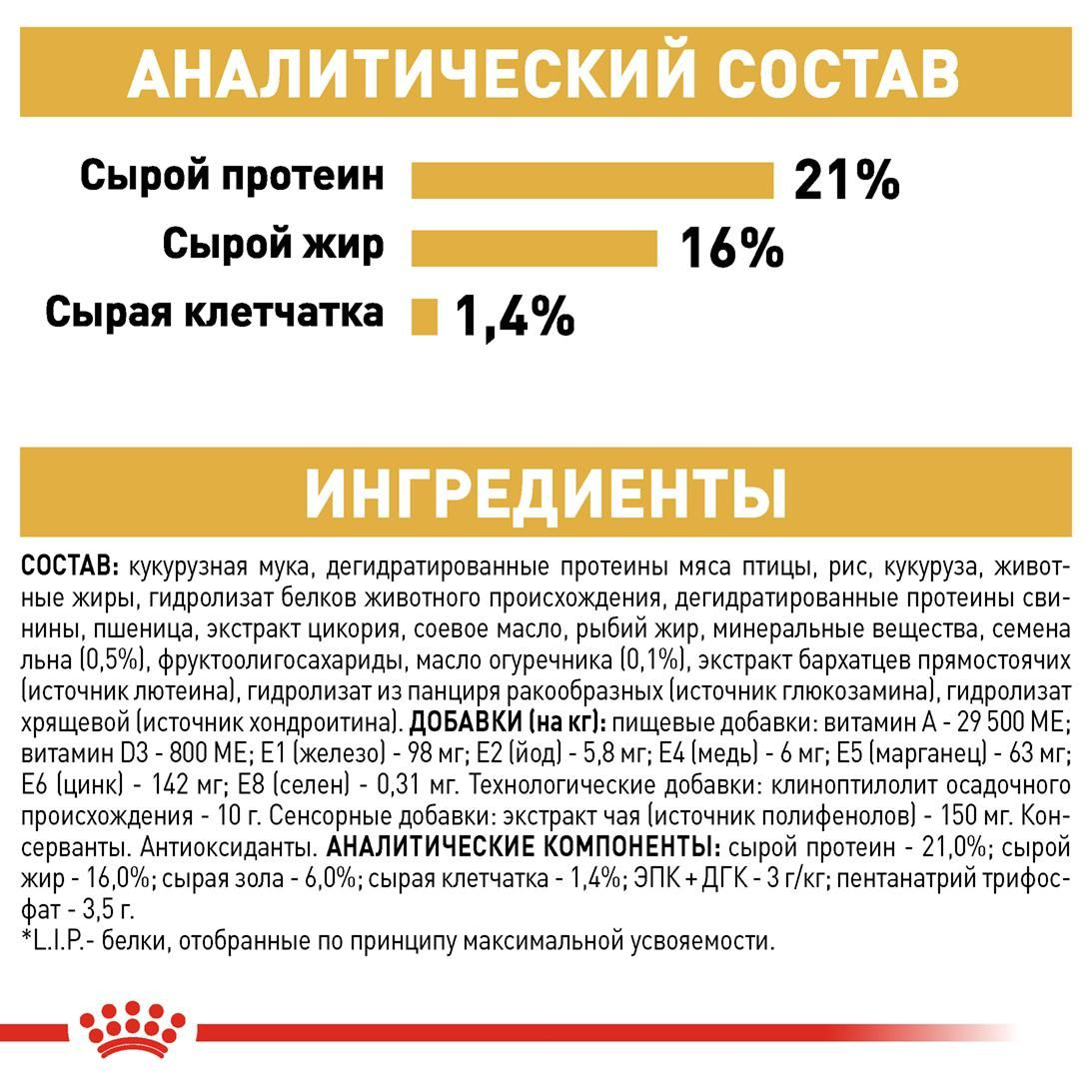 West Highland White Terrier Adult