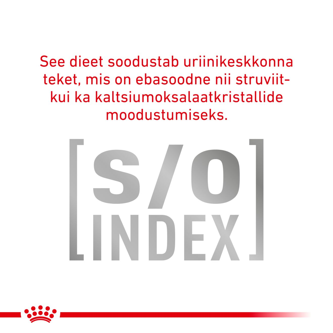 Royal Canin Diabetic Cat konserv (õhukesed viilud kastmes)