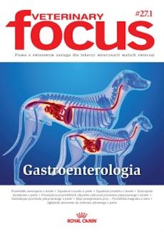 Gastroenterologia