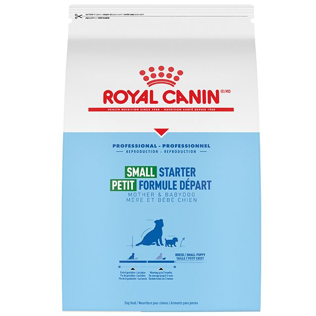 Dog food starter price best sale