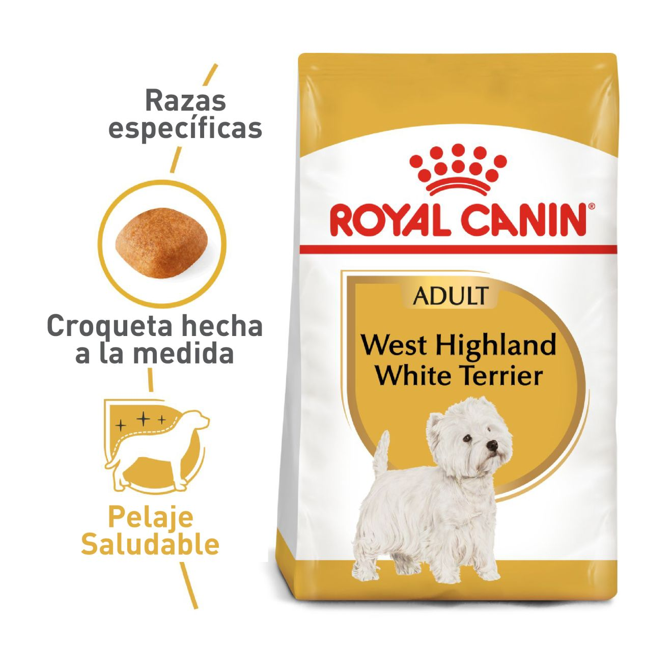 West Highland White Terrier Adulto