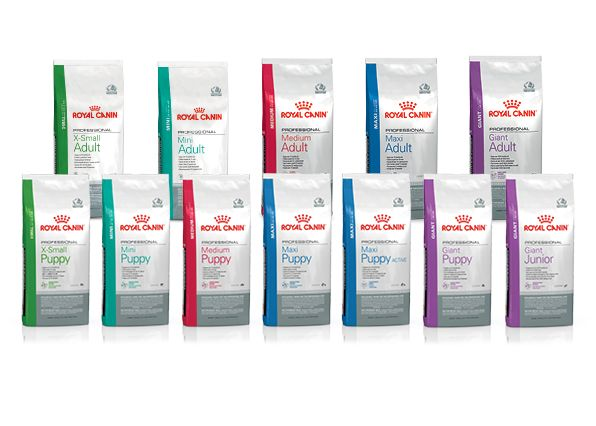 proclub-kutya-testmret