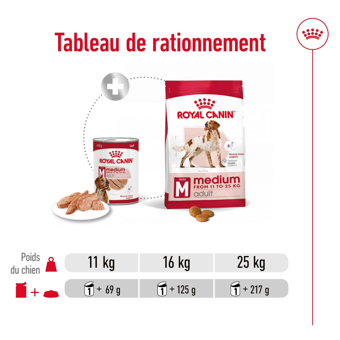 Medium Adult en mousse