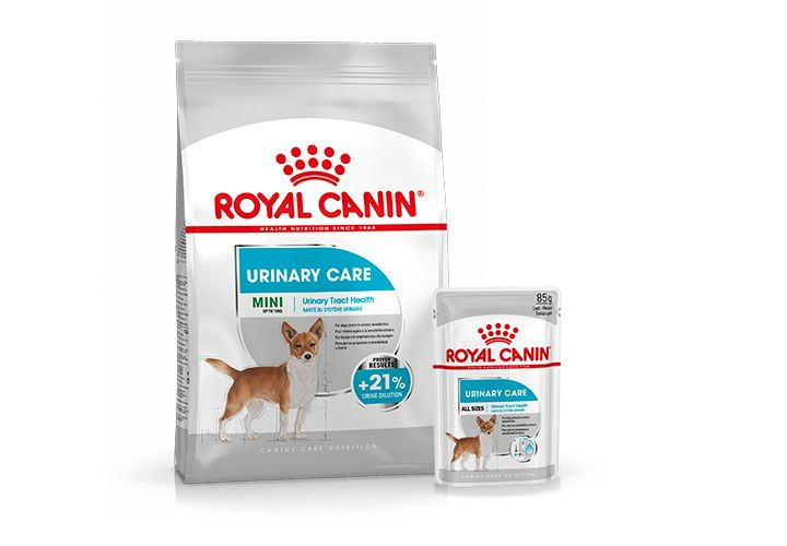 Urinary sales dog food