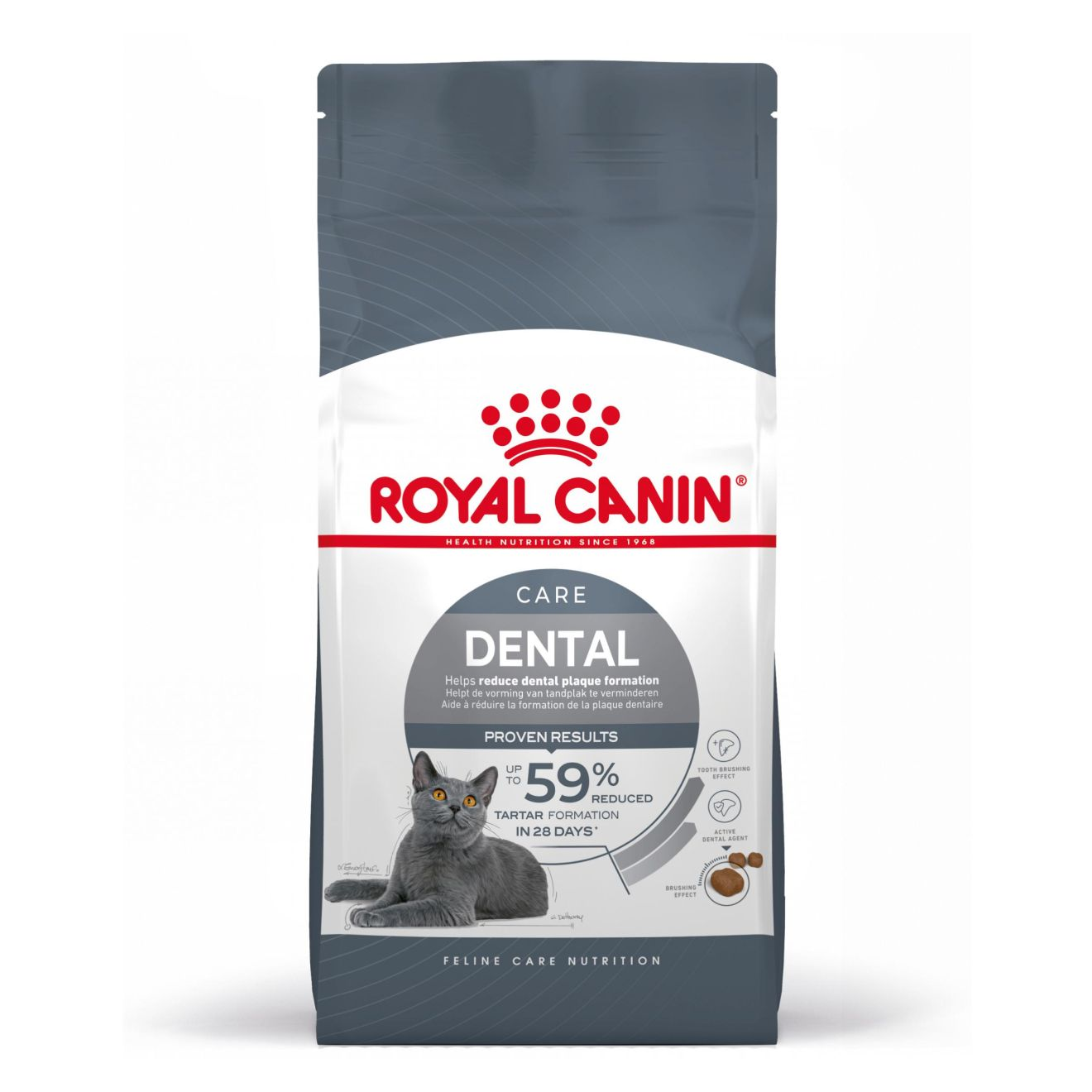 DENTAL CARE