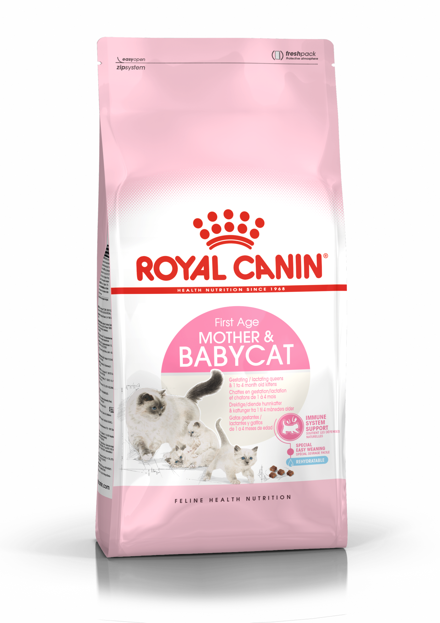 Persian Kitten Kering Royal Canin