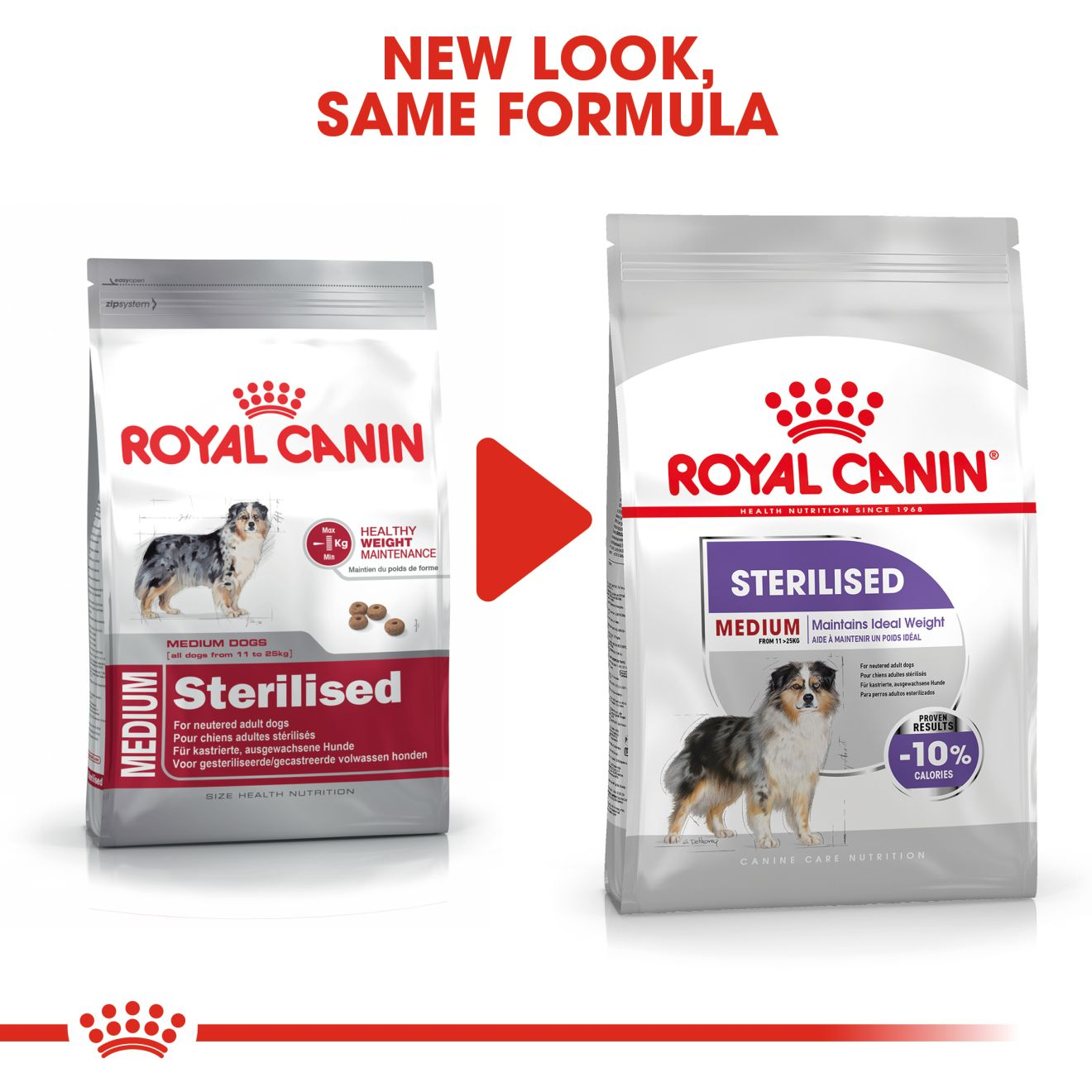 Medium Sterilised | Royal Canin PE