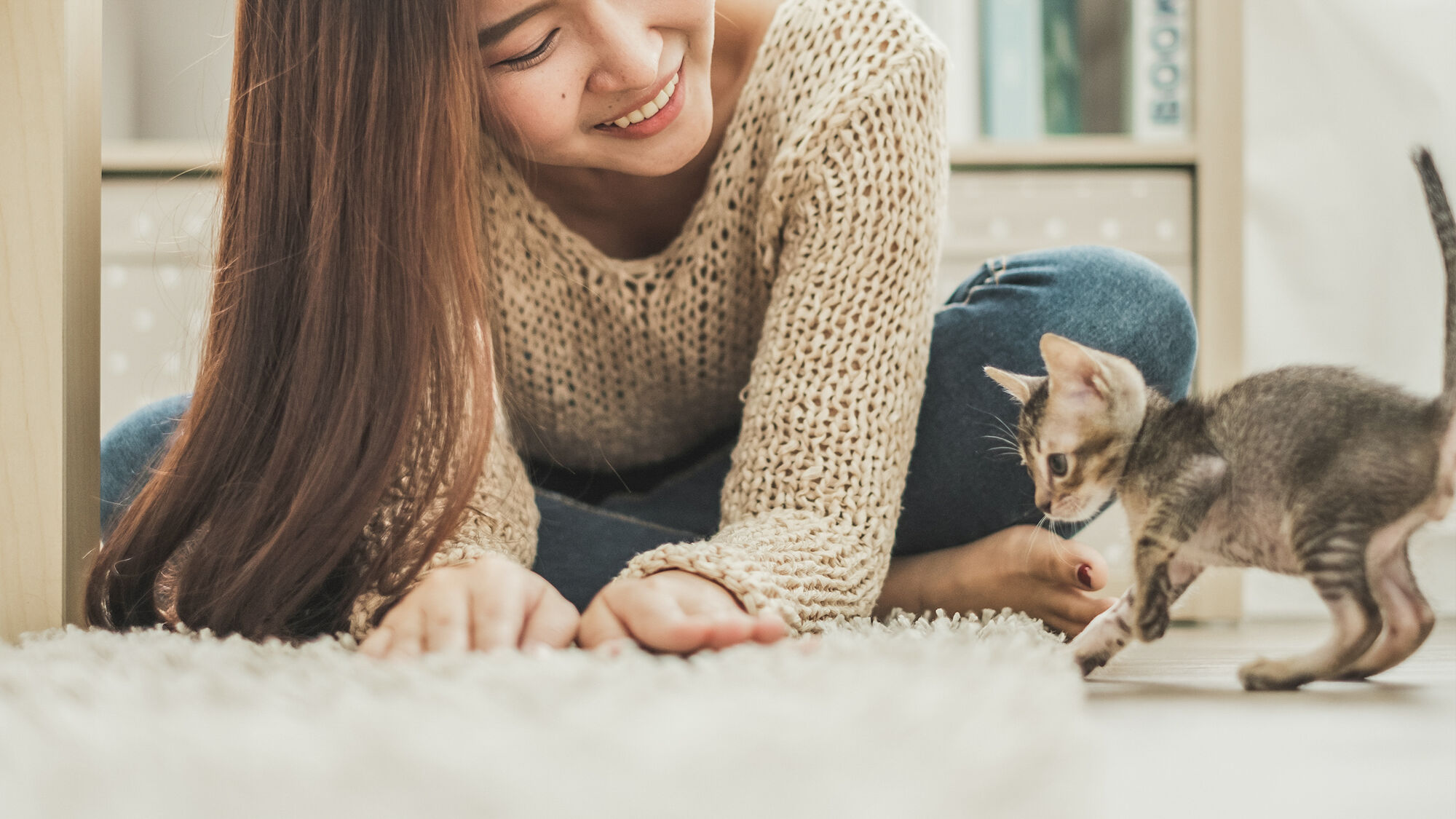 A young kitten playing indoors with a woman on a white rug