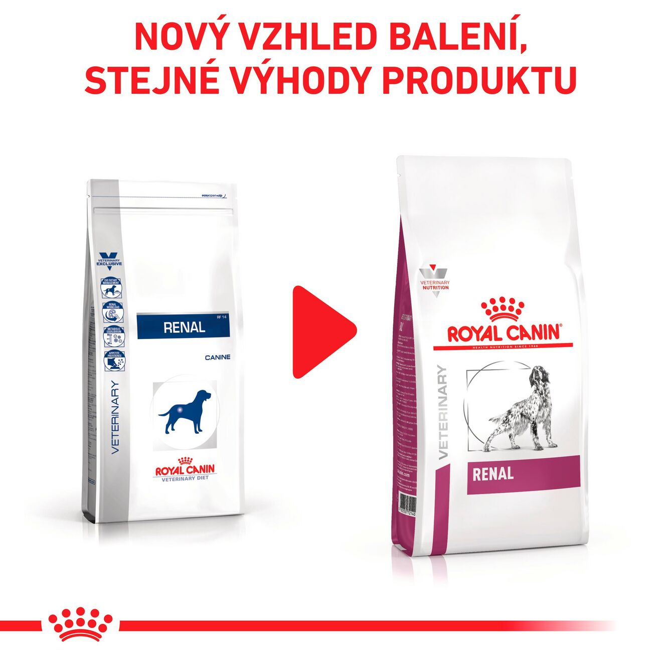 VHN Dog Renal