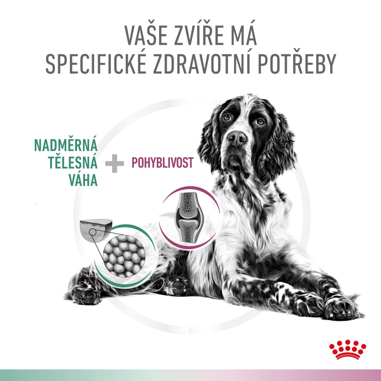 VHN Dog CA Satiety - Mobility