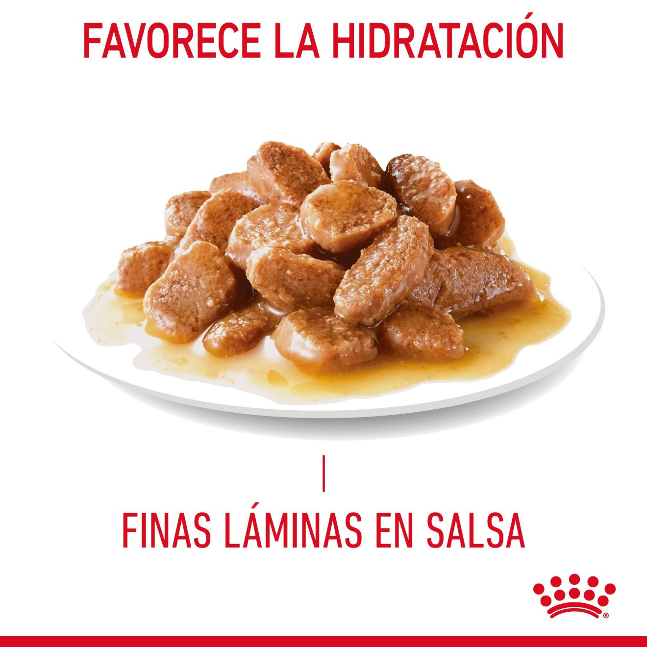 Hairball Care Finas láminas en salsa