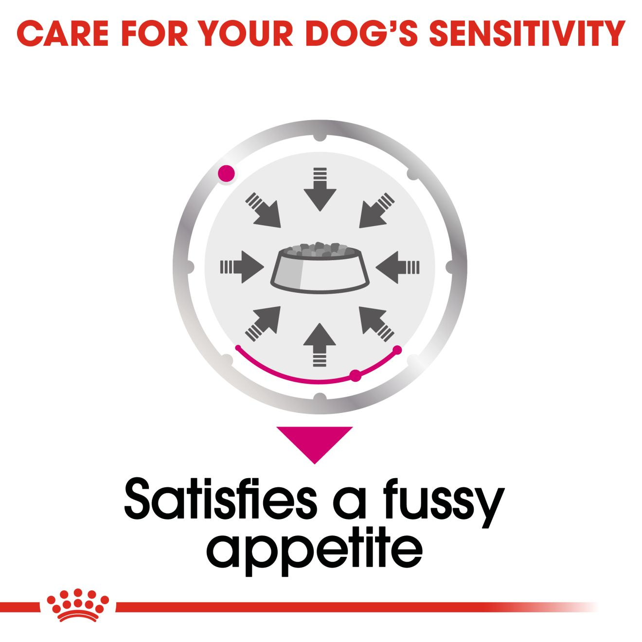 Royal canin best sale fussy appetite