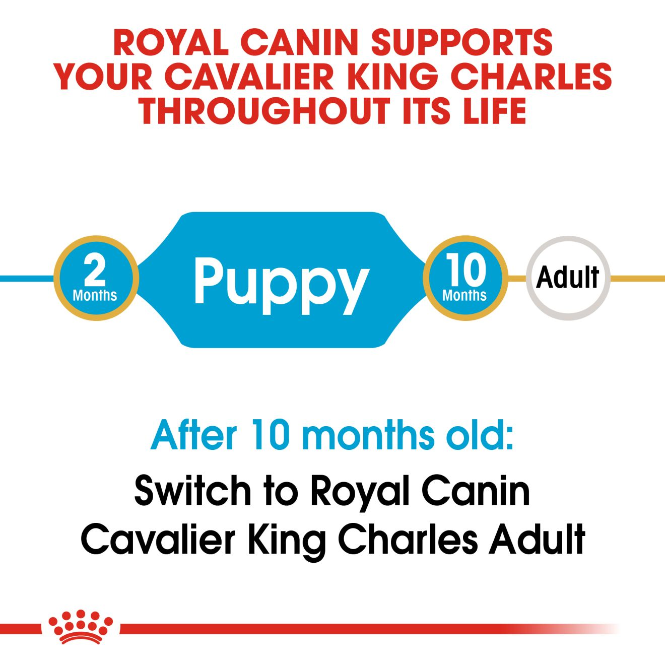 Royal canin shop king charles puppy