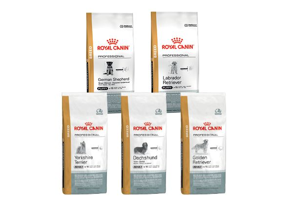 proclub-kutya-breed-testreszabott