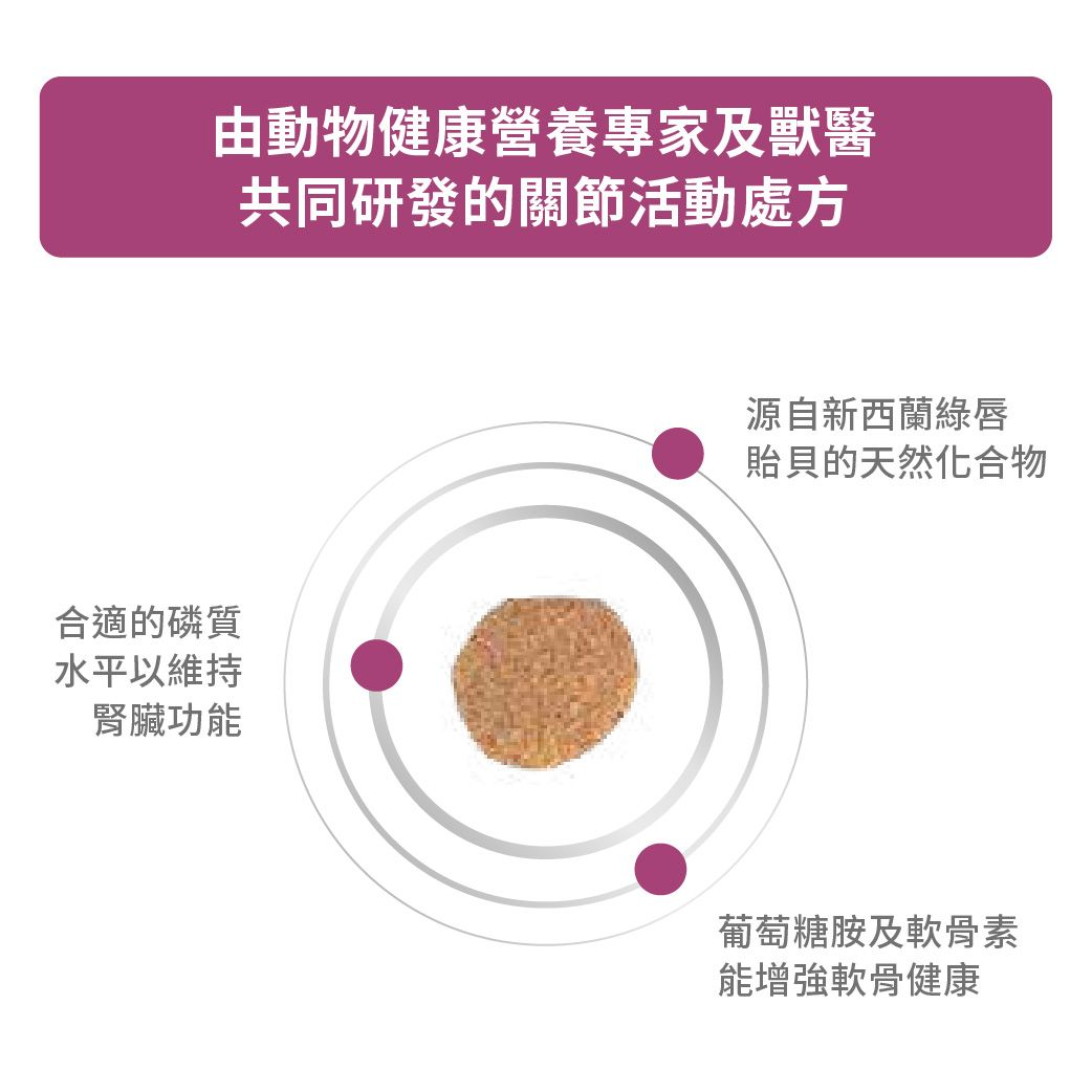 成貓關節活動處方