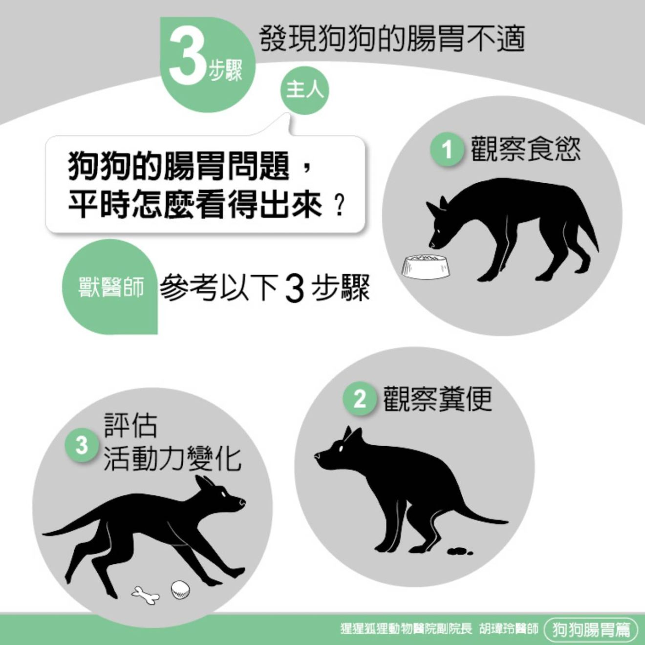 dog digestive cycle Taiwan