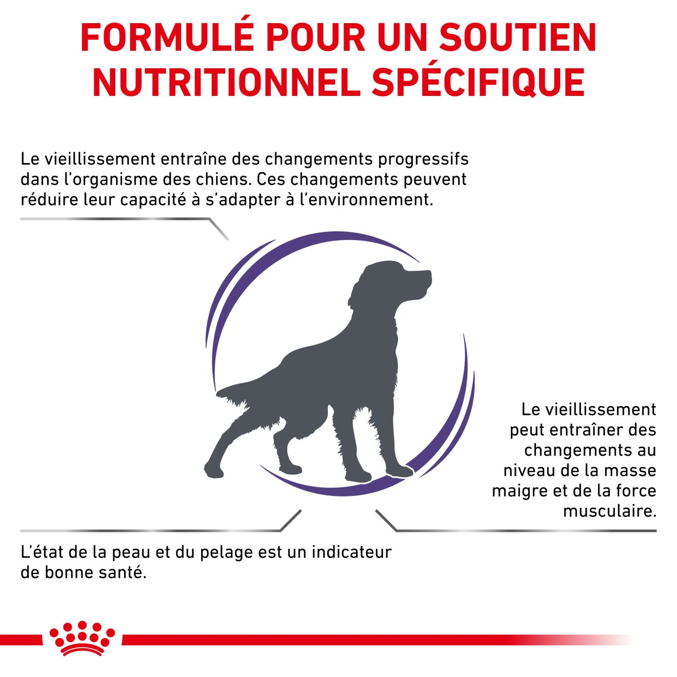 Mature Consult Medium Dogs - Aliment vétérinaire pour chien