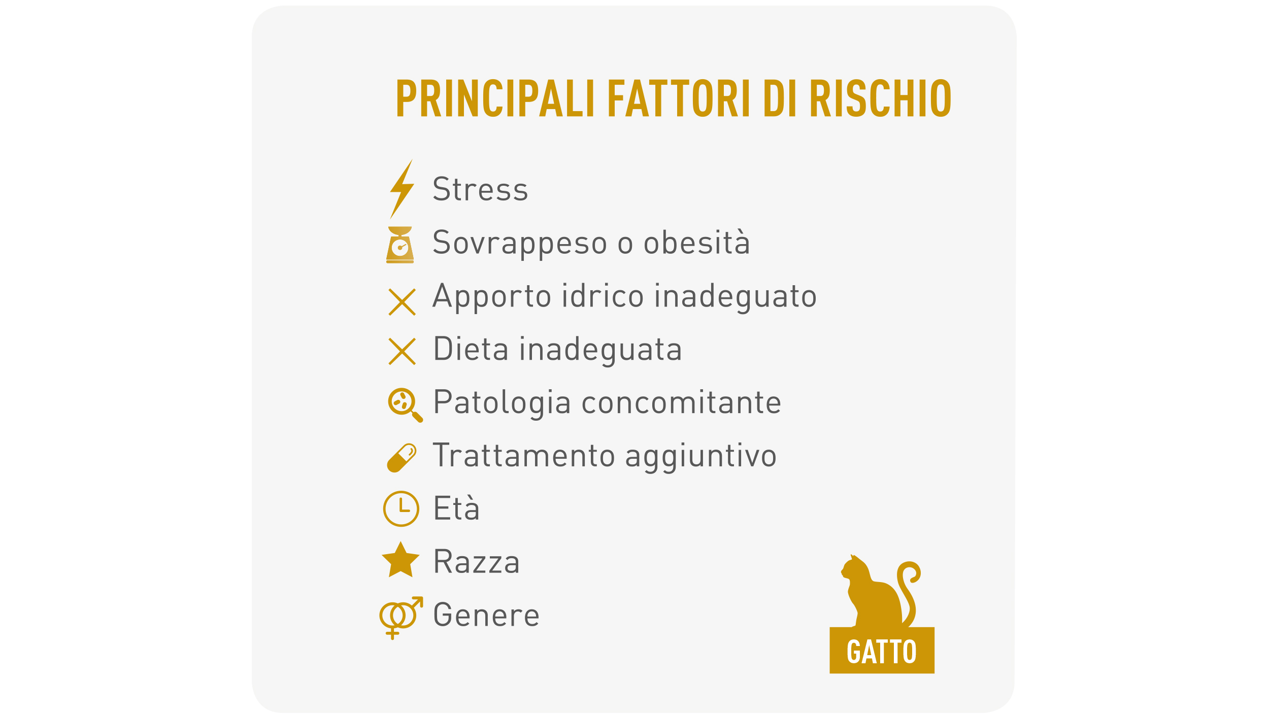 Cat urinary range pack shot