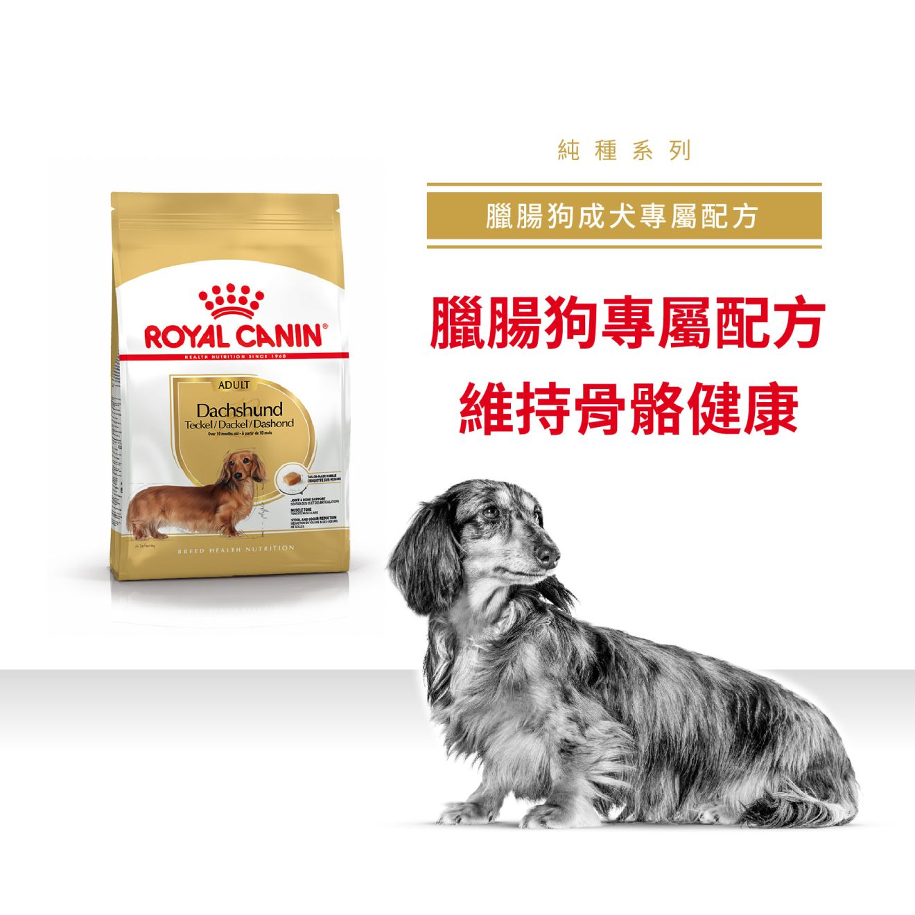 BHN 臘腸狗成犬專屬配方