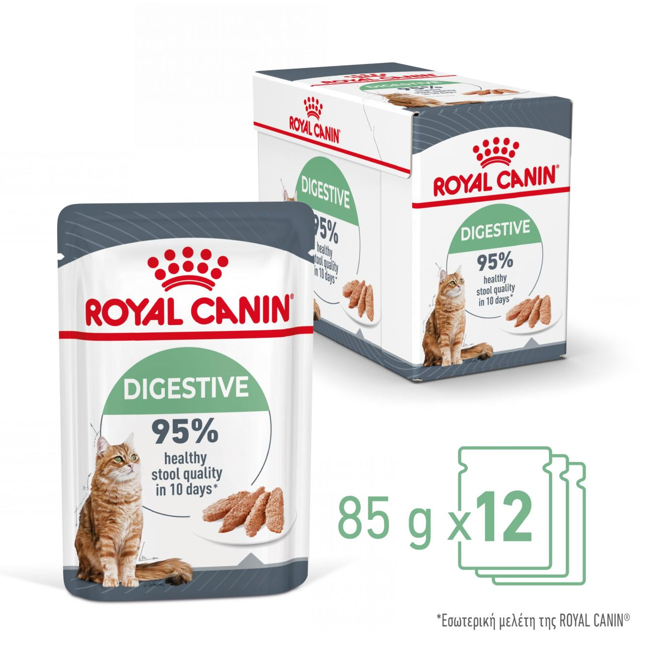 DIGESTIVE CARE πατέ 