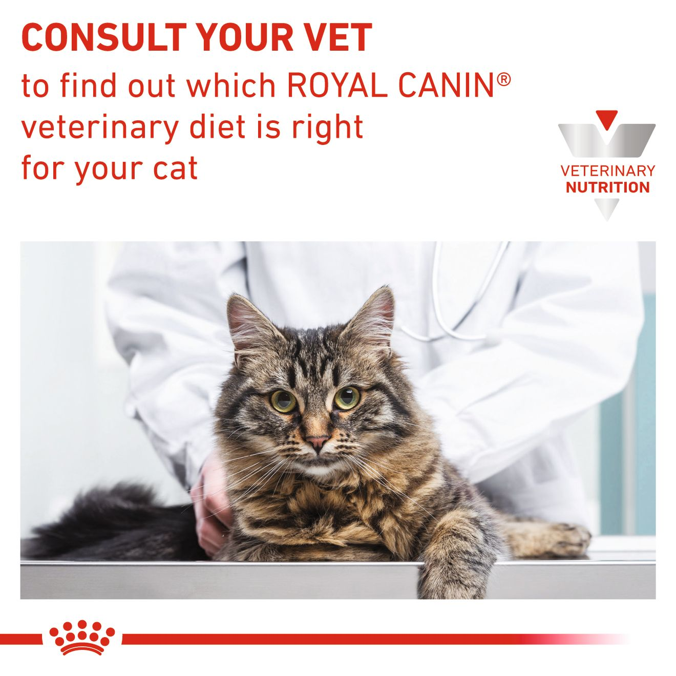 Royal canin obesity management cat outlet food