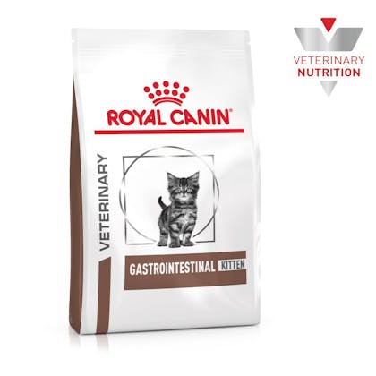 VHN-BrandFlagship-Hero-Images-Gastrointestinal Kitten Cat Dry-B1