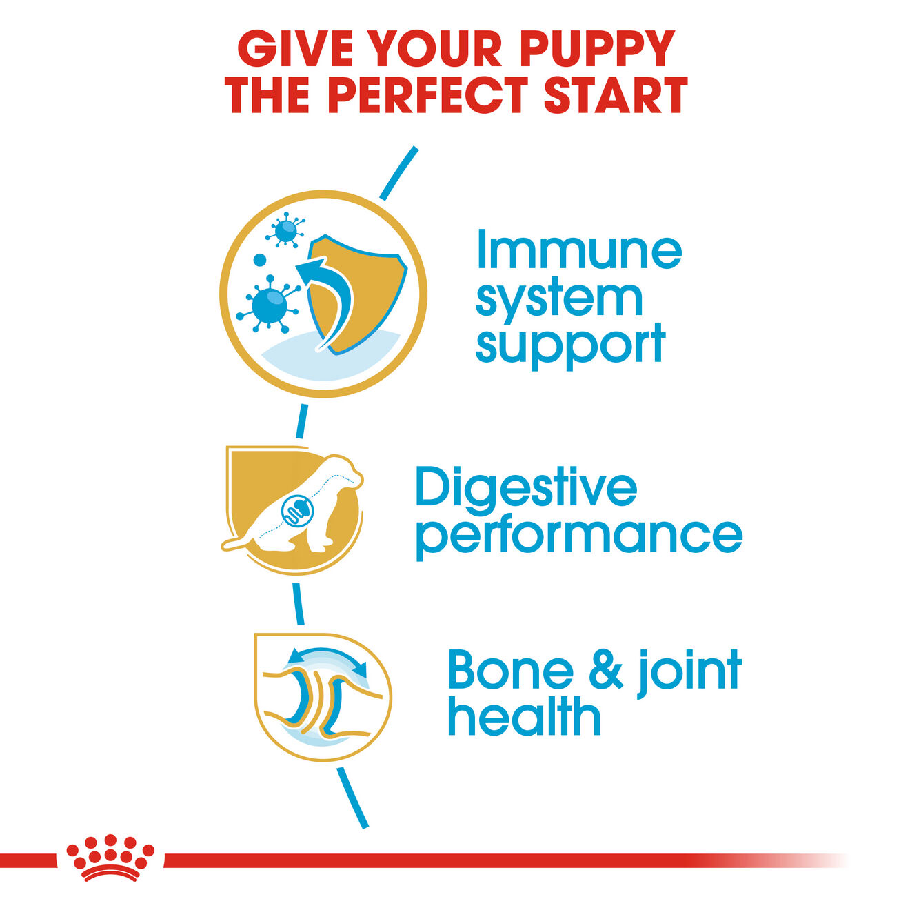 Royal canin german shepherd puppy best sale feeding chart