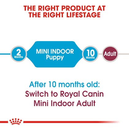 SHN-PuppyMiniInd-CV-EretailKit-1