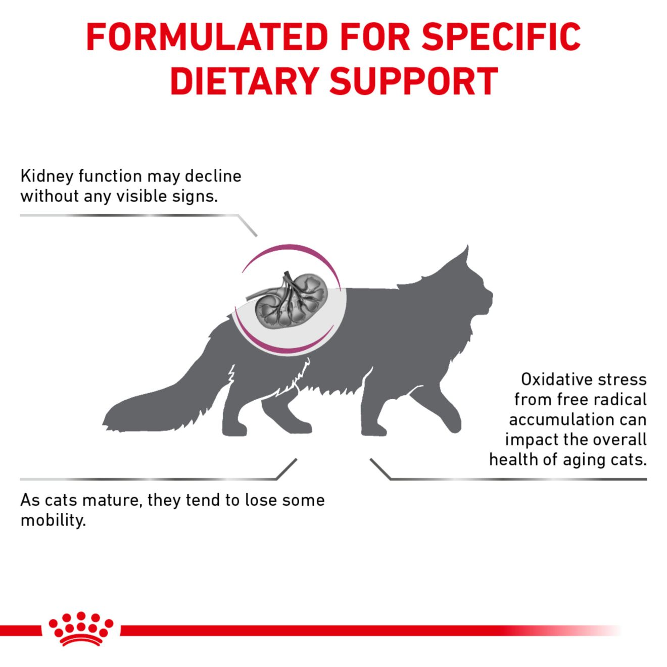 Feline Renal Support Early Consult