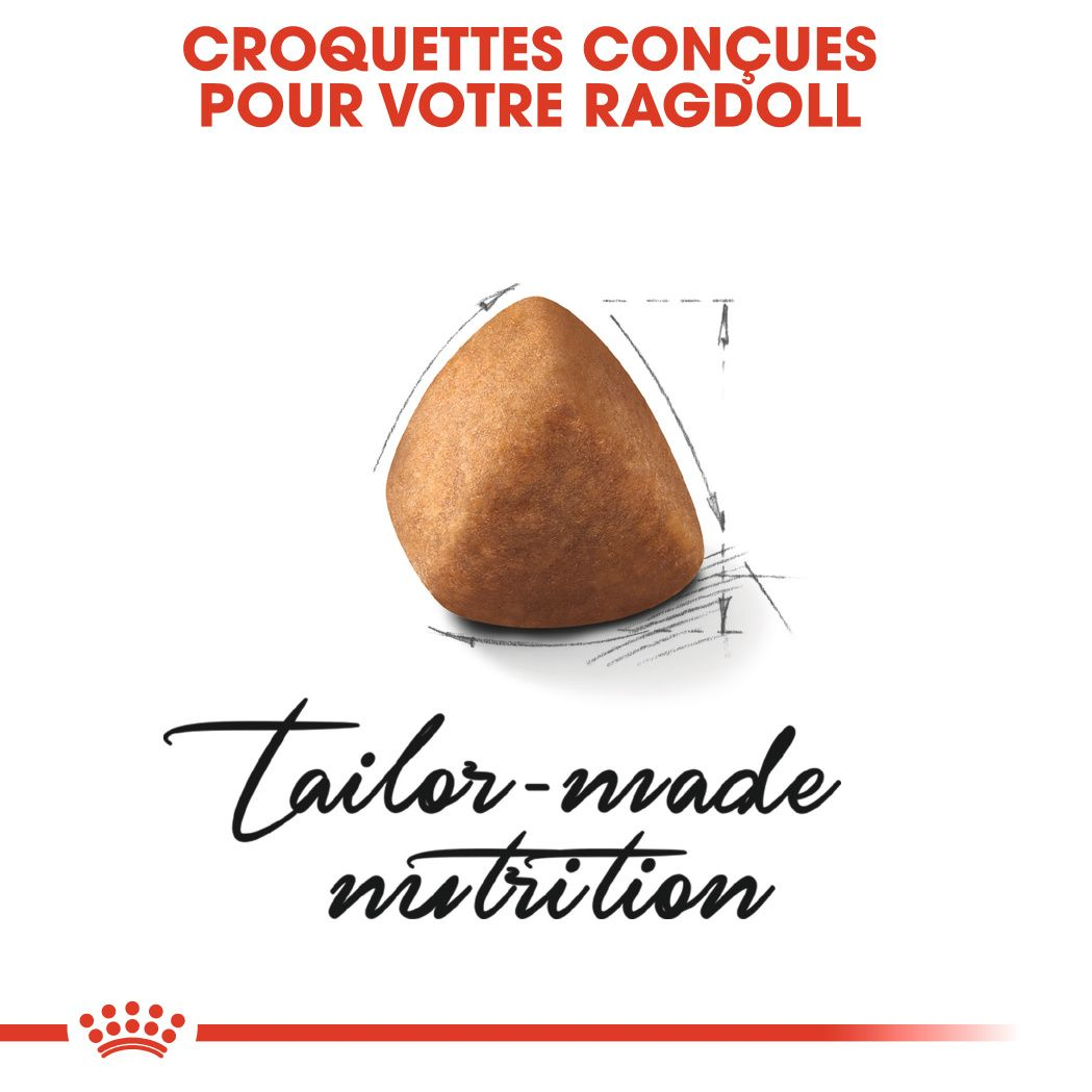 Aliments pour chat Royal Canin Ragdoll Poulet Oiseaux 400 g main image 1