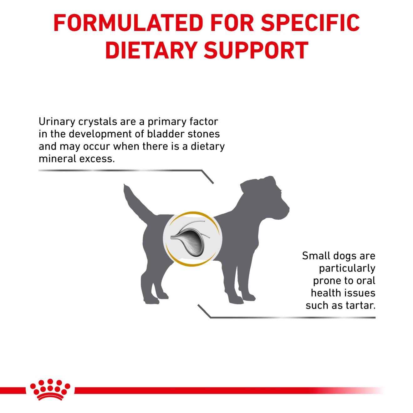 Urinary royal outlet canin small dog