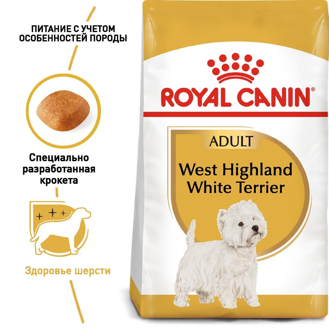 West Highland White Terrier Adult
