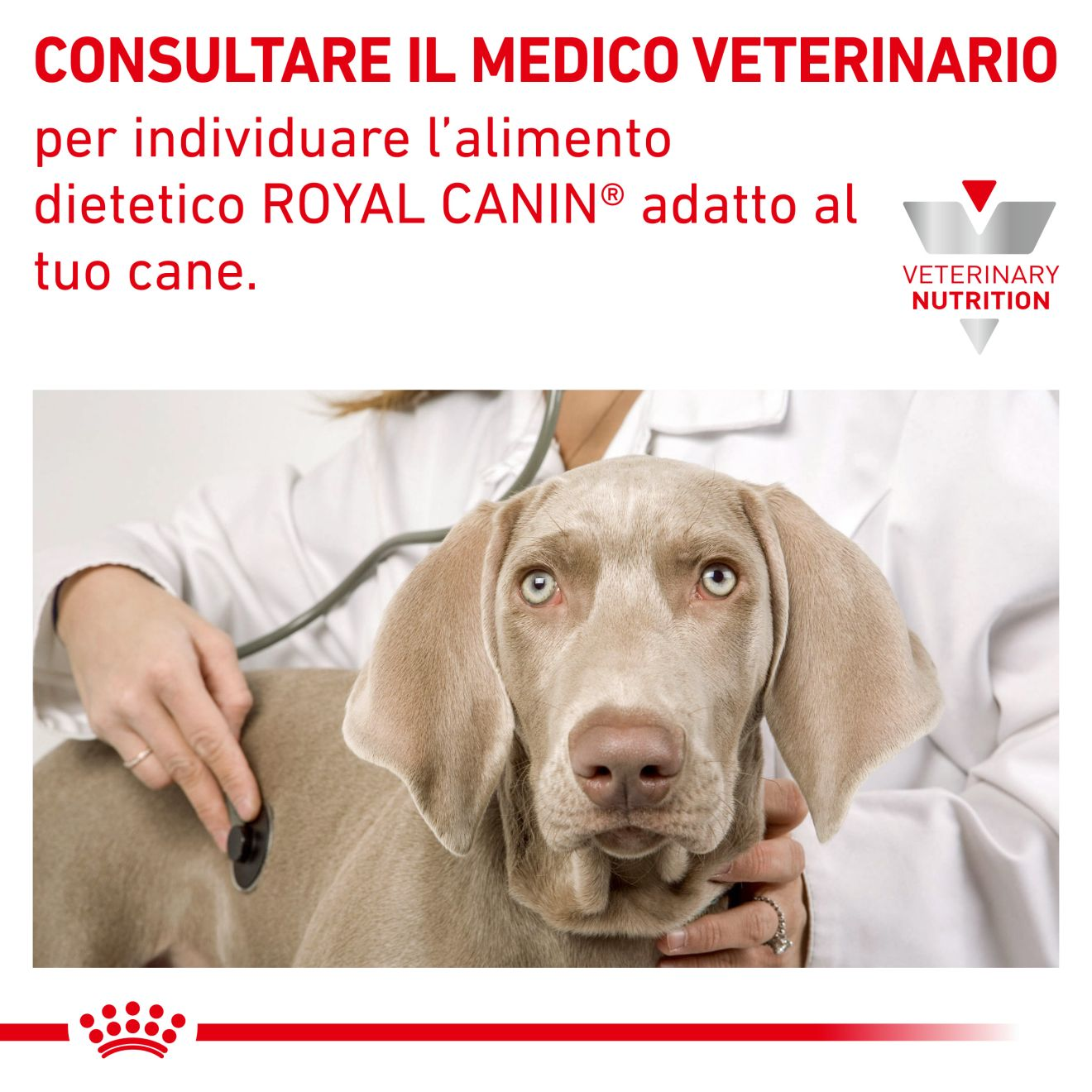 Sensitivity Control con anatra e riso