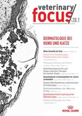 Dermatologie bei Hund und Katze