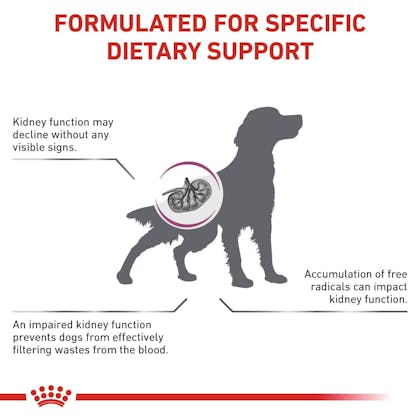 RC-VET-DRY-DogEarlyRenal-Eretailkit-B1-CV-1