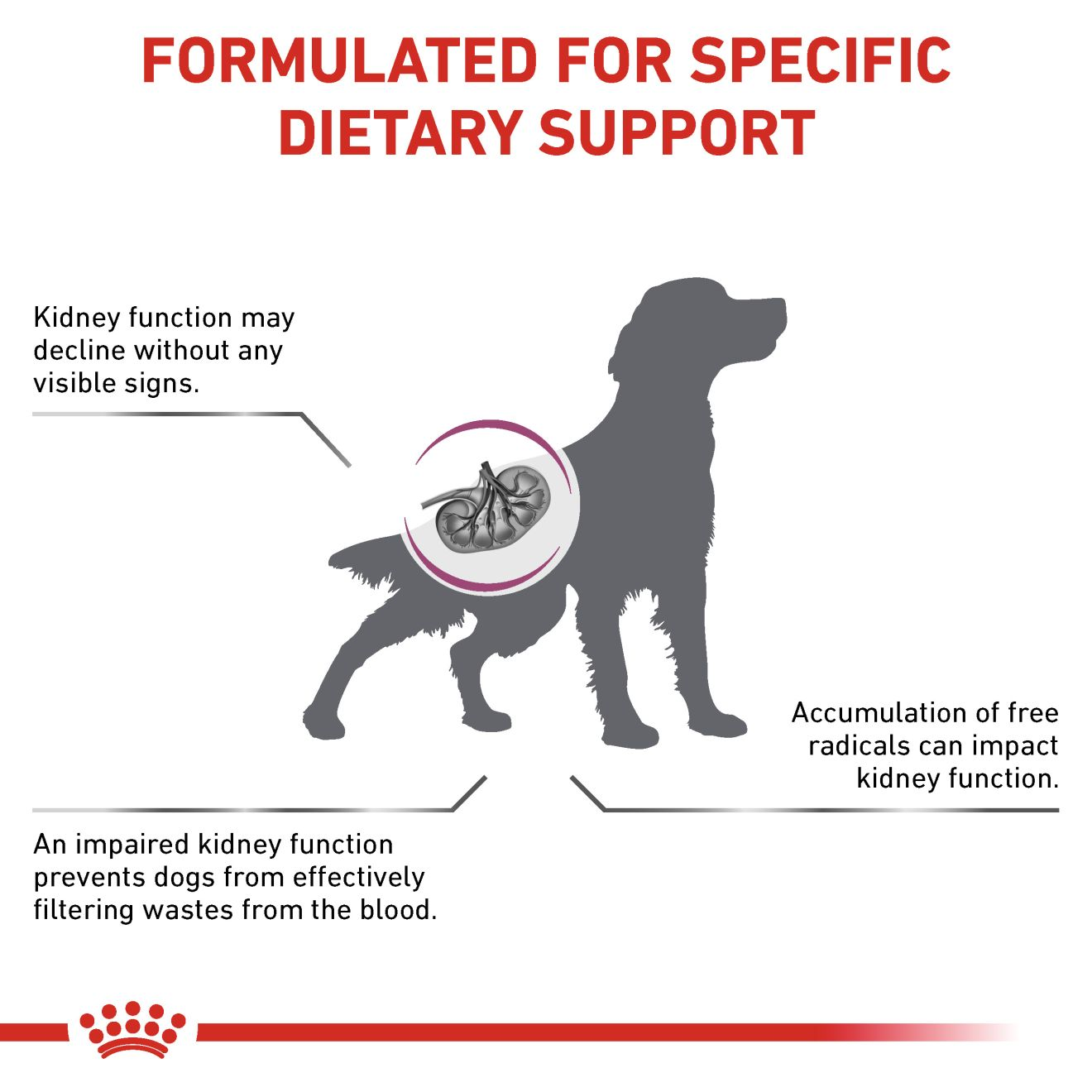 อาหารสุนัขประกอบการรักษาโรคไตในระยะเริ่มต้น ชนิดเม็ด (EARLY RENAL)