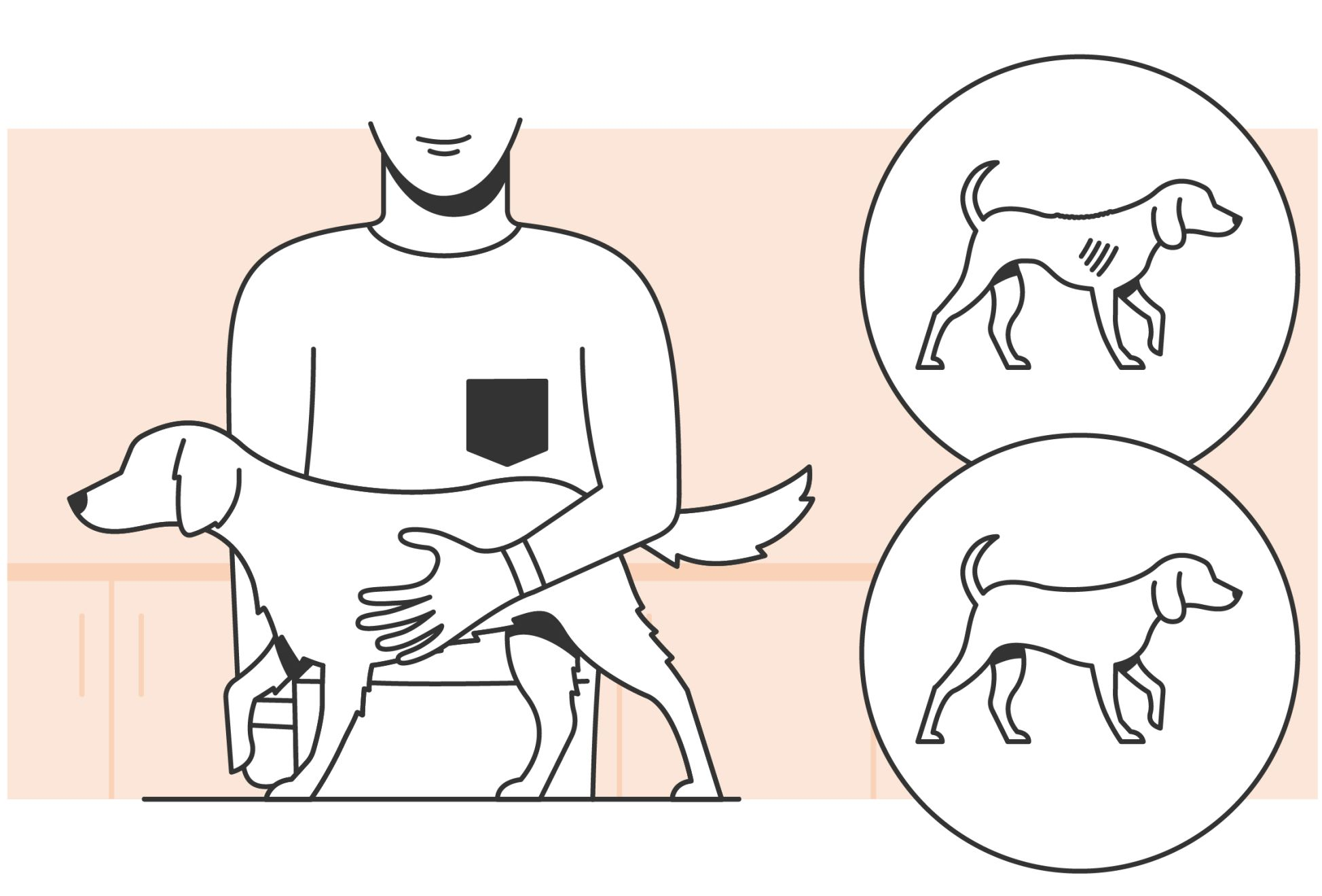 Dog body condition score overview