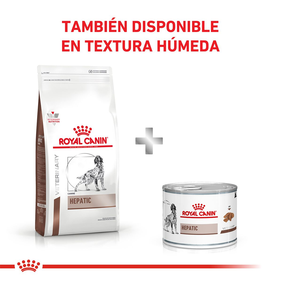 Hepatic Canine | Royal Canin Argentina