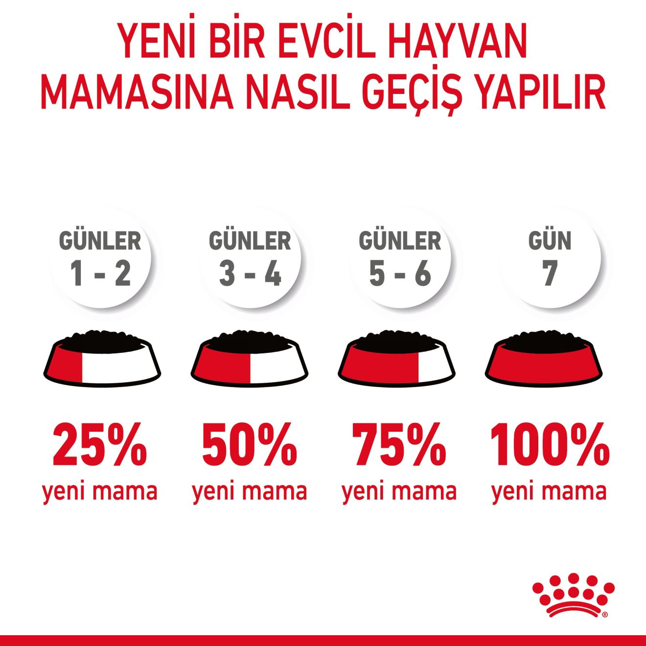 Hair & Skin Jelly Yetişkin Kedi Yaş Maması