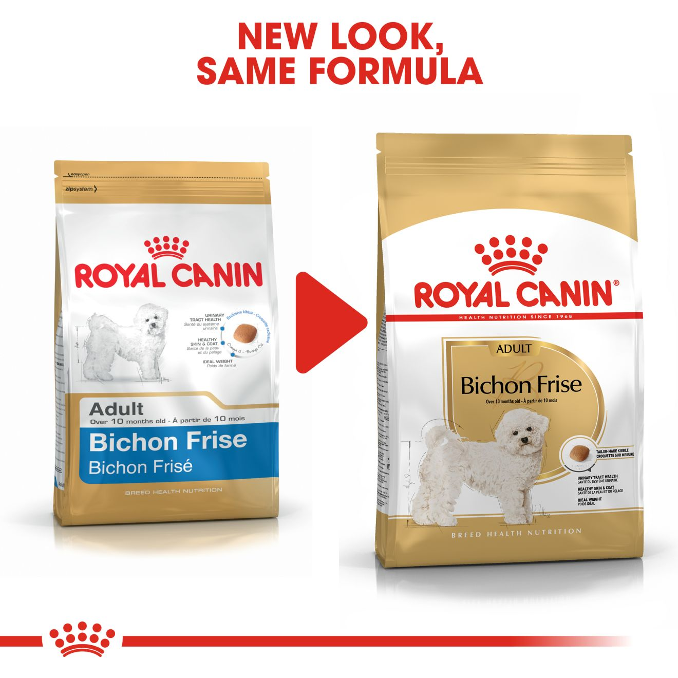 Bichon on sale royal canin