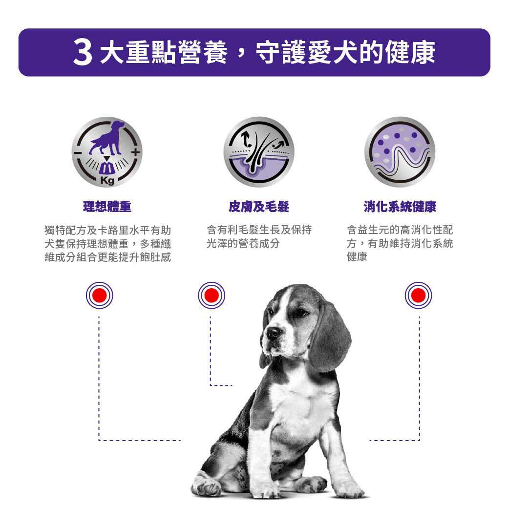 絕育中型成犬健康管理配方